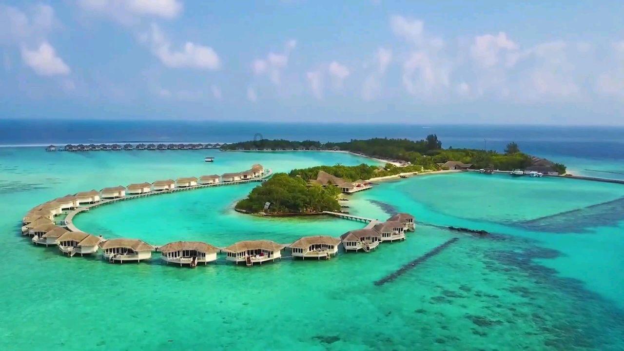 推进美丽山东建设,打造绿色低碳发展高地